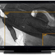 Illustration for article titled Olevia 65-inch LCD HDTVs Back on Woot For $2300, 40% Below Amazon
